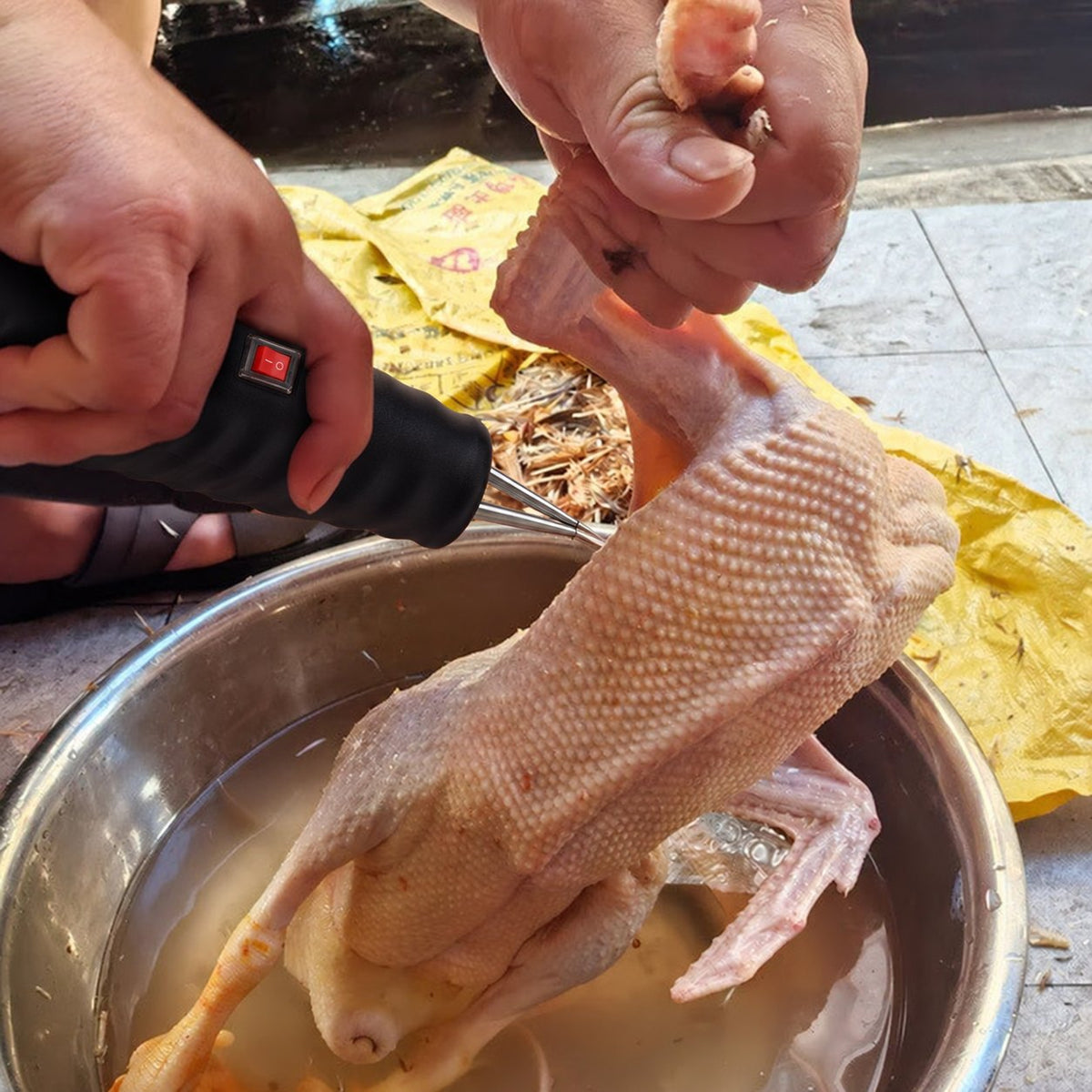 Repasando un pollo escaldado con la desplumadora de mano