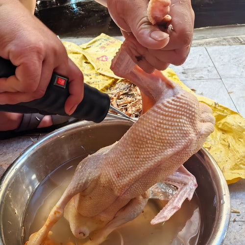 Repasando un pollo escaldado con la desplumadora de mano