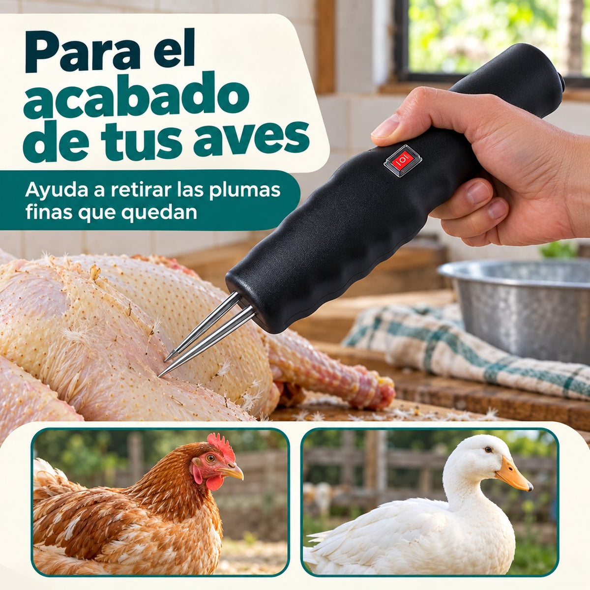 Para el acabado de tus aves: retira las plumas finas que quedan