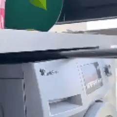 Orvenisa limpiando el polvo de la parte alta de una lavadora
