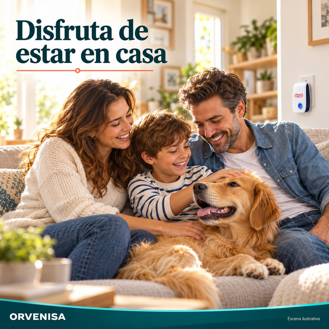Paso 2: dejarlo enchufado y disfrutar de estar en casa