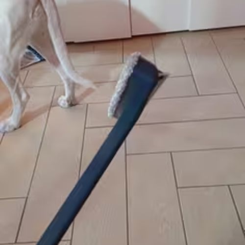 Foto enviada por un cliente con su reseña