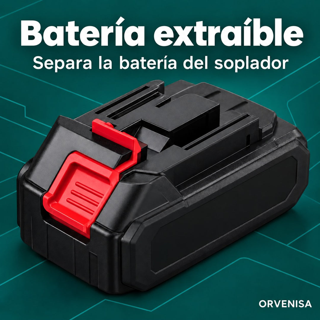 Batería extraíble