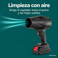 Limpieza con aire: polvo y hojas sueltas